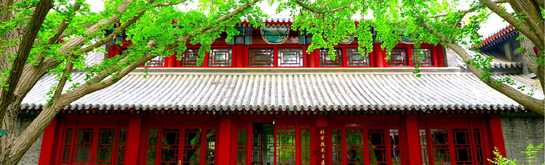 静园风物-北京大学全国中学骨干教师综合教育能力提升博雅讲堂